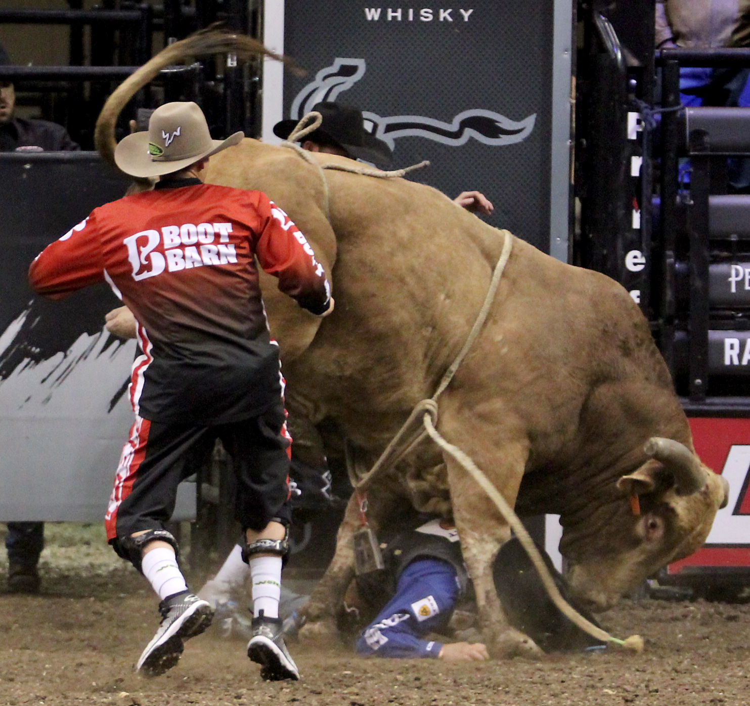 PBR 1C.jpg